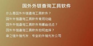 國外外鏈查詢工具軟件