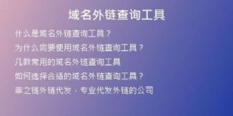 域名外鏈查詢工具