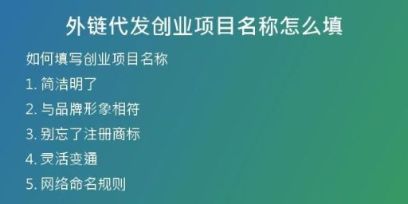 外鏈代發(fā)創(chuàng)業(yè)項目名稱怎么填