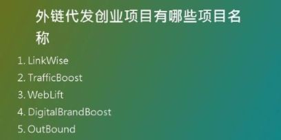 外鏈代發(fā)創(chuàng)業(yè)項(xiàng)目有哪些項(xiàng)目名稱