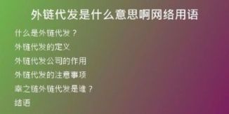 外鏈代發(fā)是什么意思啊網絡用語