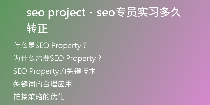 seo project，seo專員實(shí)習(xí)多久轉(zhuǎn)正