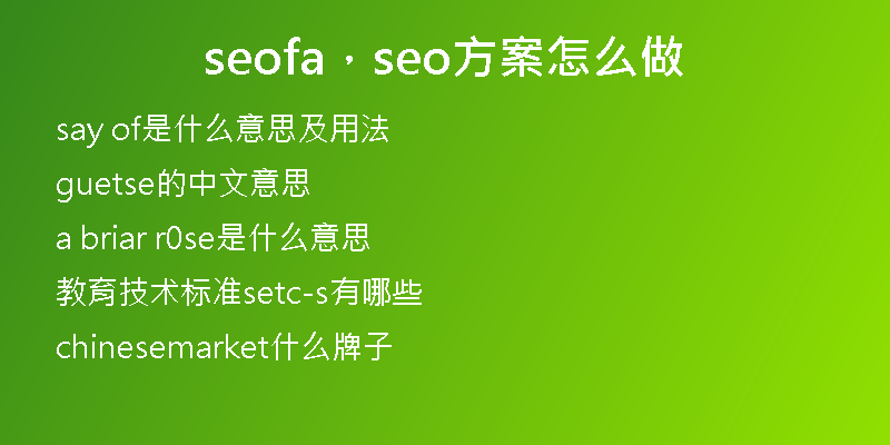 seofa，seo方案怎么做