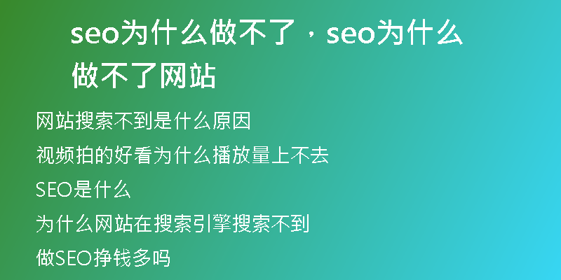 seo為什么做不了，seo為什么做不了網(wǎng)站