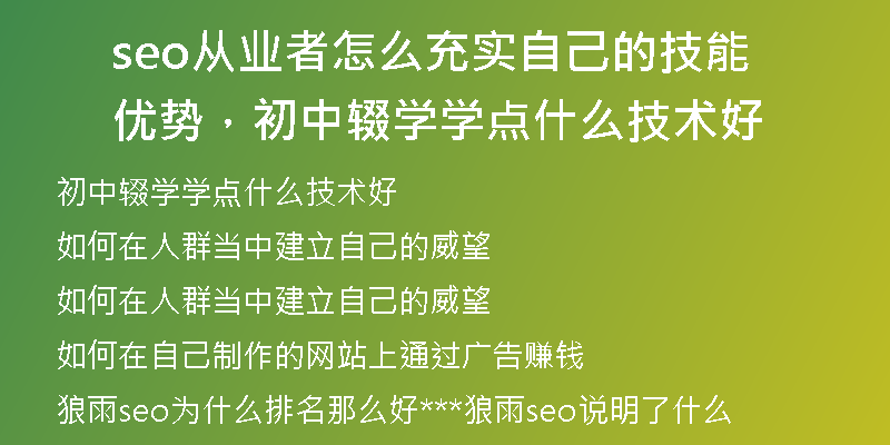 seo從業(yè)者怎么充實(shí)自己的技能優(yōu)勢(shì)，初中輟學(xué)學(xué)點(diǎn)什么技術(shù)好