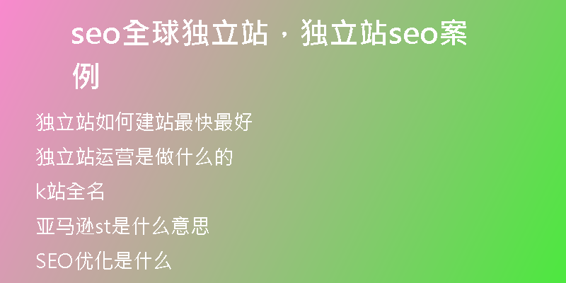 seo全球獨立站，獨立站seo案例