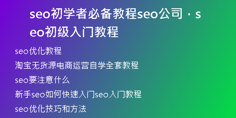 seo初學(xué)者必備教程seo公司，seo初級(jí)入門教程