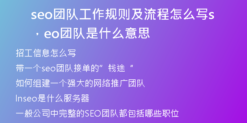 seo團隊工作規(guī)則及流程怎么寫，seo團隊是什么意思