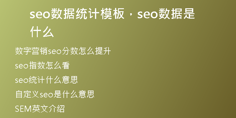 seo數(shù)據(jù)統(tǒng)計模板，seo數(shù)據(jù)是什么