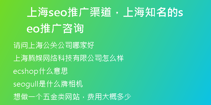 上海seo推廣渠道，上海知名的seo推廣咨詢